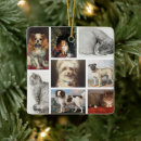 Pesquisar por collage ornamentos Gato