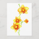 Pesquisar por orquídeas amarelas cartoes postais Planta