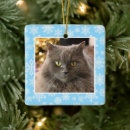 Pesquisar por gato azul ornamentos Primeiro