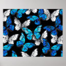 Pesquisar por desenho da borboleta pósteres pôsteres Mariposa