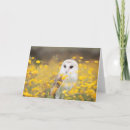 Pesquisar por snowy owl cartoes Wildlife