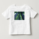 Pesquisar por reserva camisetas Americano