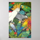 Pesquisar por budgie pôsteres Cockatiel