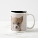 Pesquisar por corgi galês canecas Animal