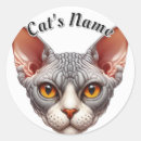 Pesquisar por careca adesivos Gato