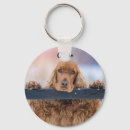 Pesquisar por fluffy chaveiros Animal