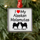 Pesquisar por eu amo o malamute Alaskan