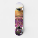 Pesquisar por deserto skates Natureza