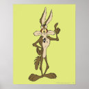 Pesquisar por pé pôsteres Wile e coyote