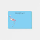 Pesquisar por desenho flamingo Pássaro