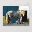 Pesquisar por odin cartoes postais Arte