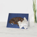 Pesquisar por recuperação da cirurgia cartoes postais Doença