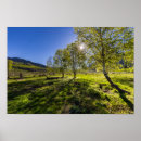 Pesquisar por nascer do sol pósteres pôsteres Verde