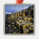 Pesquisar por coluna ornamentos Costa