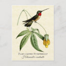 Pesquisar por beija flor cartoes postais Tropical