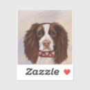Pesquisar por springer adesivos Spaniels