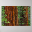 Pesquisar por gigantes pôsteres Vermelho