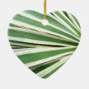 Pesquisar por plantas verdes ornamentos Natureza
