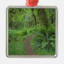 Pesquisar por olimpiadas ornamentos Trilha