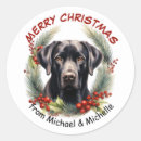 Pesquisar por tosse adesivos Coroa