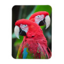 Pesquisar por jardim zoológico imas Selva