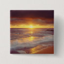 Pesquisar por san diego botons Costa