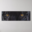 Pesquisar por leopardo olhos pôsteres Gato