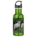 Pesquisar por criação garrafa agua Ovelha