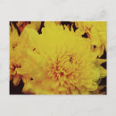 Pesquisar por atrativo cartoes postais Flor