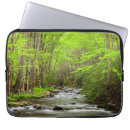Pesquisar por smoky mountains Smokies