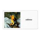 Pesquisar por da sereia etiquetas Fantasia