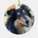 Pesquisar por fofinho ornamentos Cão