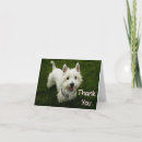 Pesquisar por west highland terrier cartoes Puppy
