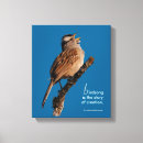 Pesquisar por pássaro da canção pôsteres Vida selvagem