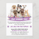 Pesquisar por cães flyers Cão