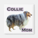 Pesquisar por liso imas Collie