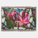 Pesquisar por parede mantas Plano de fundo