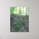 Pesquisar por fora estrada impressão de canvas Floresta