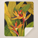 Pesquisar por pássaro paraíso mantas Flores tropicais