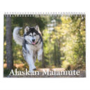Pesquisar por malamute do alasca Animal