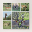 Pesquisar por animal africano quebra cabecas Viagem