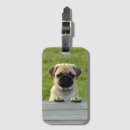 Pesquisar por pug bagagem tags Bonito