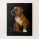 Pesquisar por staffordshire Cachorro