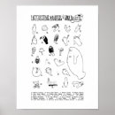 Pesquisar por do peixe boi artes pôsteres Mamífero