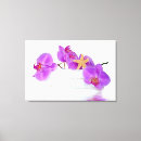 Pesquisar por orquídeas impressão de canvas Rosa