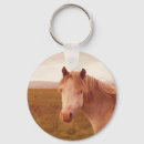 Pesquisar por cavalos chaveiros Selvagem