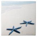 Pesquisar por estrela azulejos Criaturas do sealife