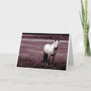 Pesquisar por cavalo cumprimentos cartoes Cavalos