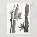Pesquisar por bamboo cartoes postais China
