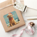 Pesquisar por shar pei adesivos Feriado